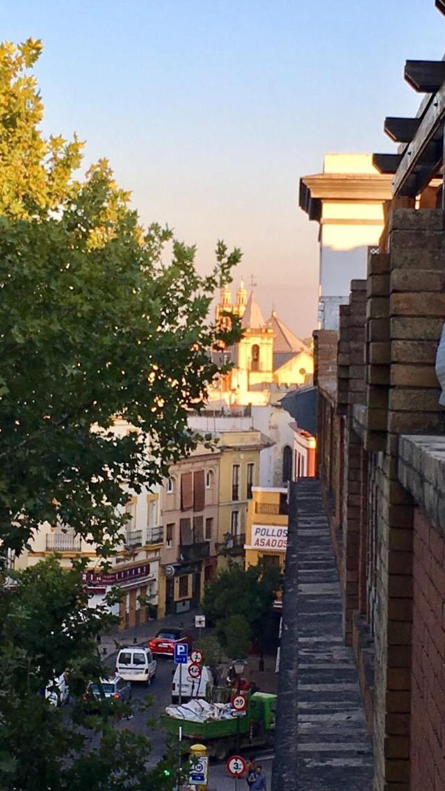Typ Sevilla ภายนอก รูปภาพ
